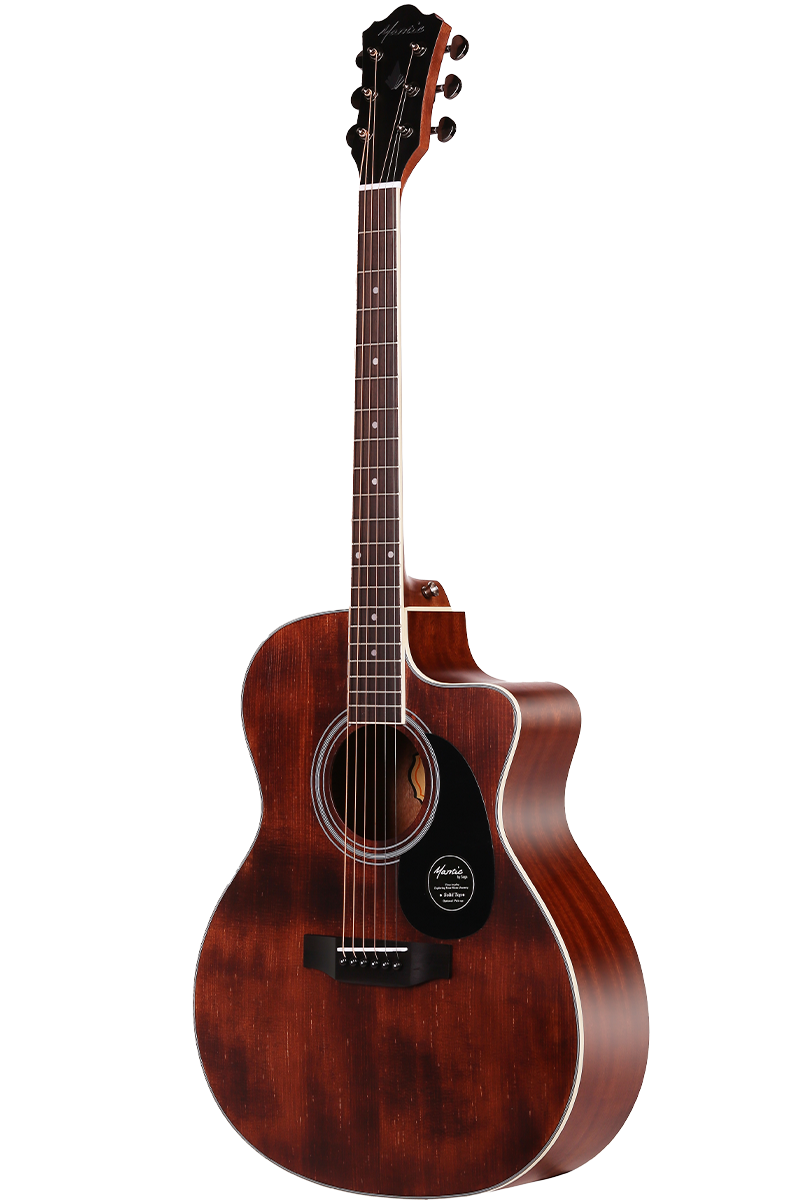 GA10SC