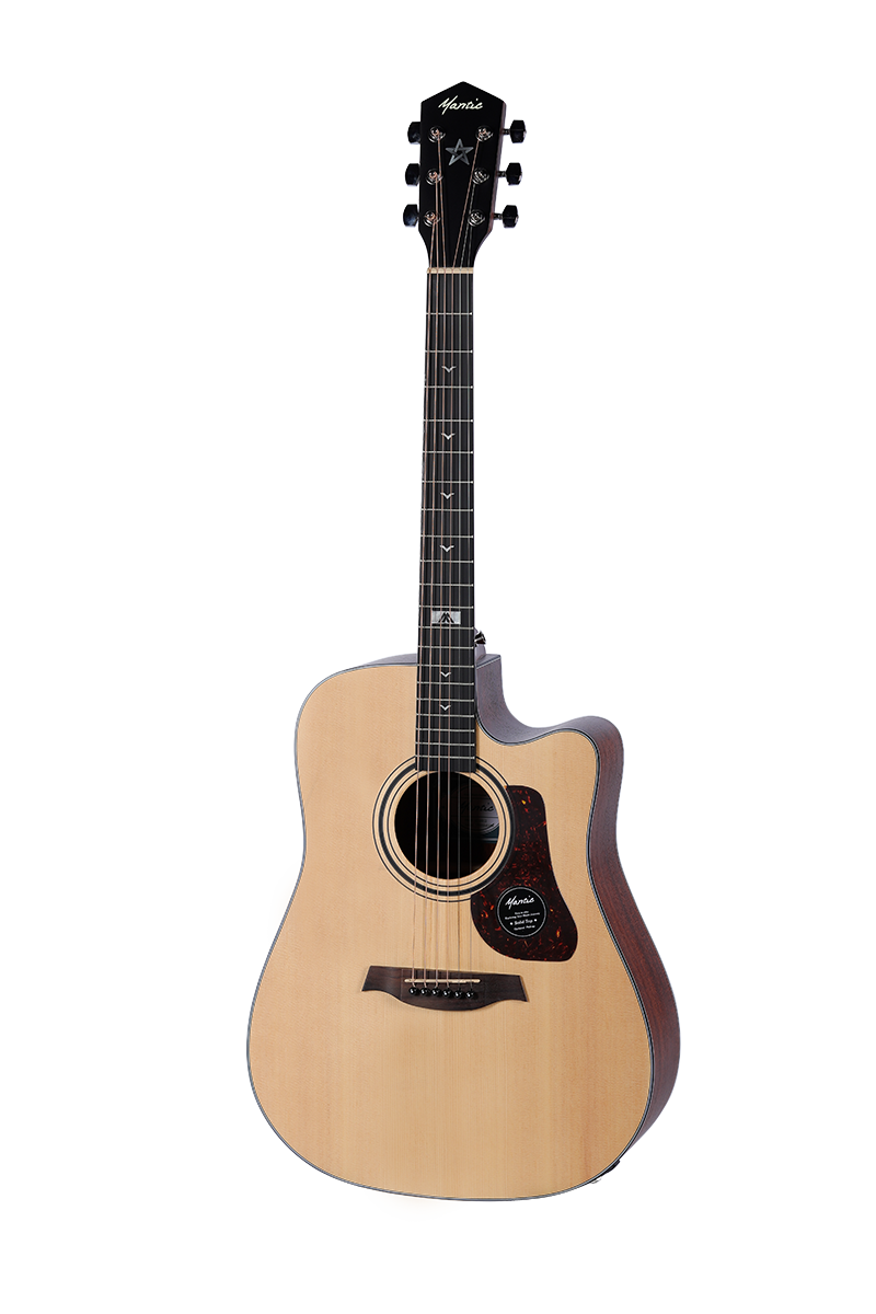 GT10DCE NA