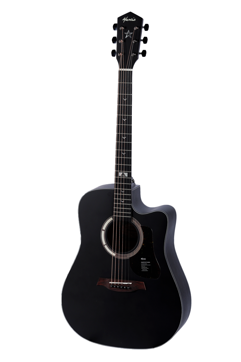 GT1DCE BK