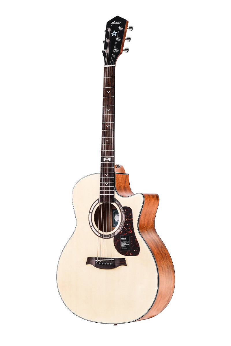 GT1GC NA