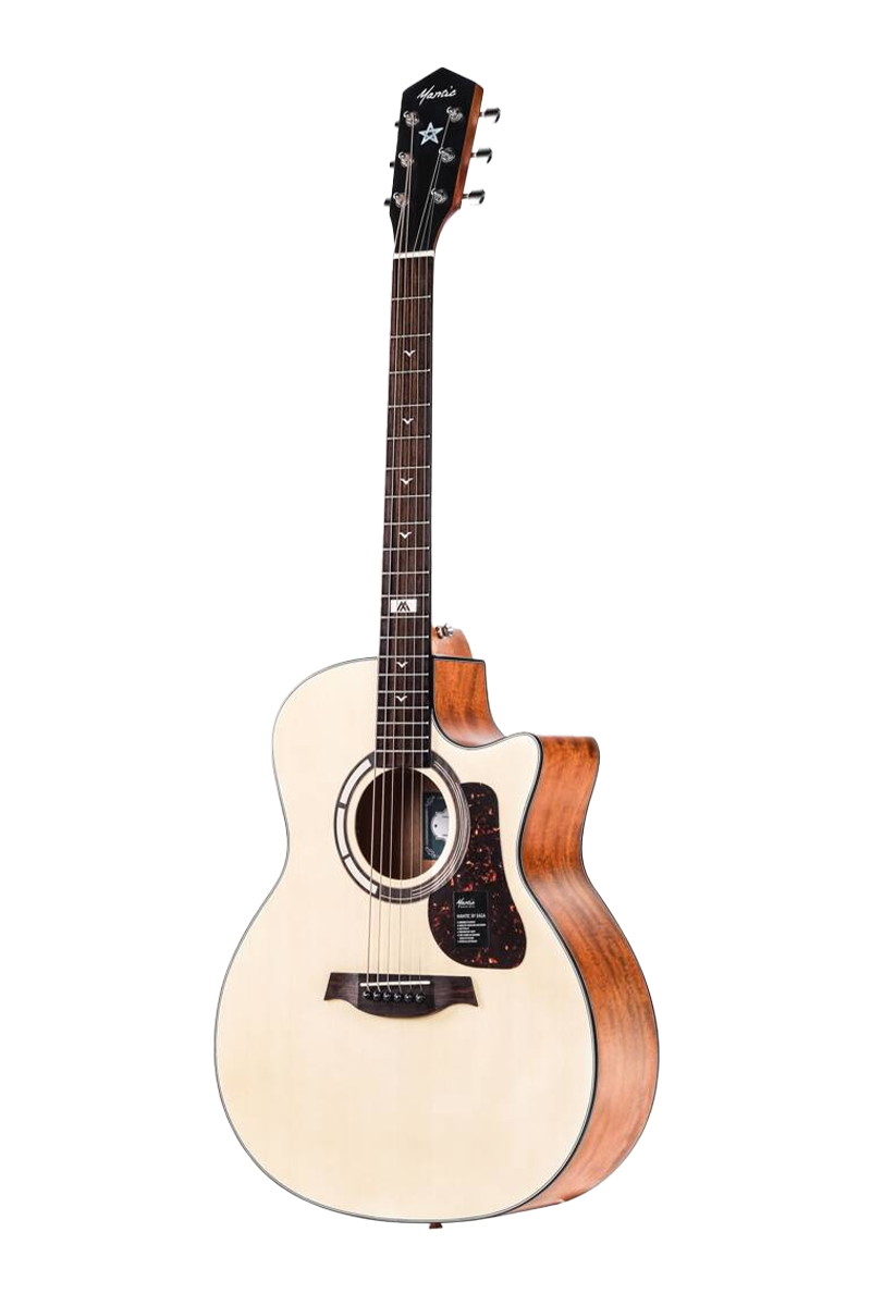 GT1GCE NA